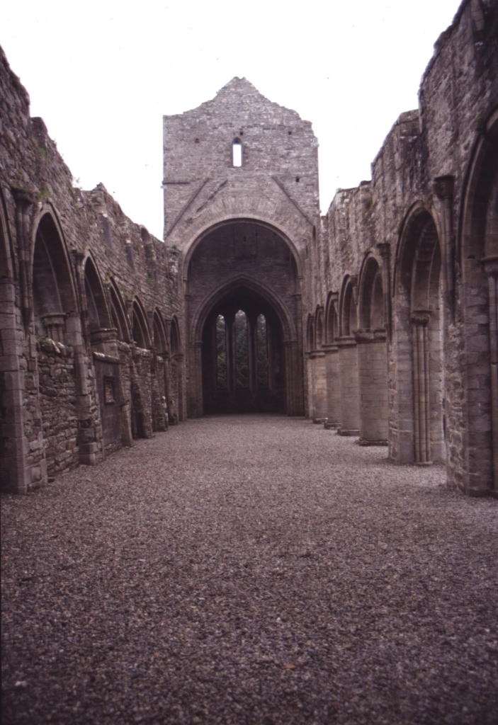 Boyle Abbey